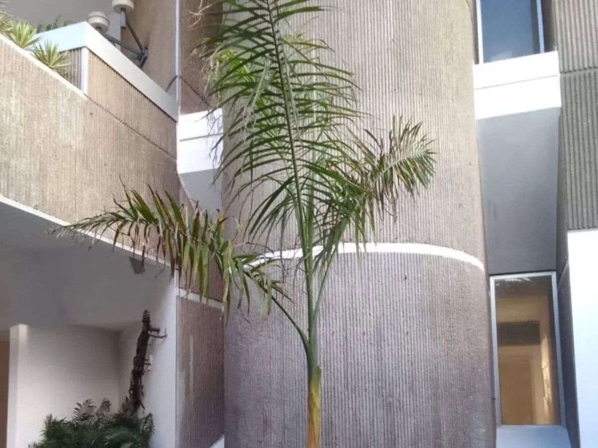 Escultura de Karma Davis Pérez